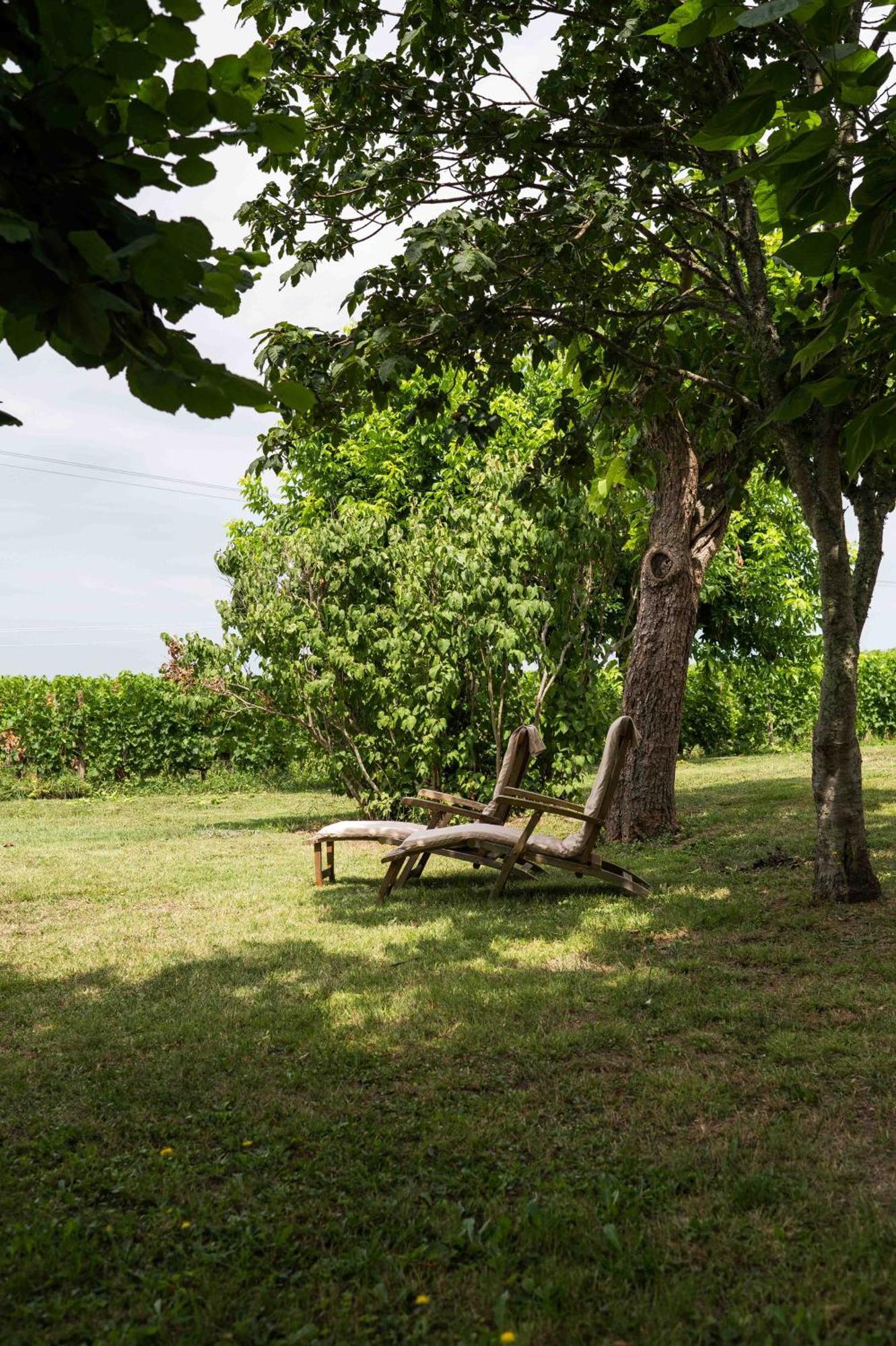 Clos De La Barbanne 拉蒙塔涅 外观 照片